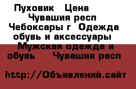 Пуховик › Цена ­ 400 - Чувашия респ., Чебоксары г. Одежда, обувь и аксессуары » Мужская одежда и обувь   . Чувашия респ.